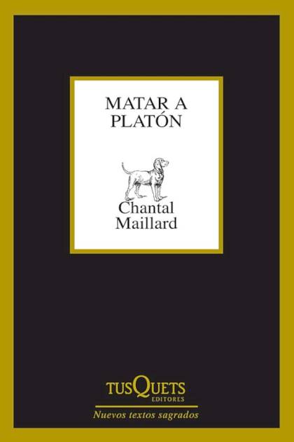 Matar A Platon Maillard Chantal - Pangea Ebook