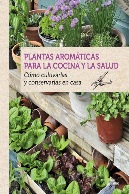 Plantas Aromaticas Para La Cocina Y La Boudassou Benedicte - Pangea Ebook