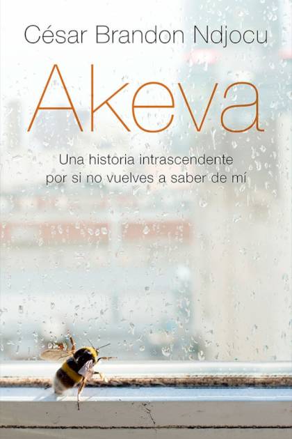 Akeva César Brandon Ndjocu - Pangea Ebook